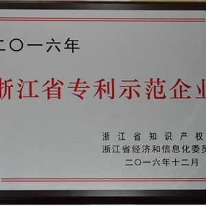 湖州K8凯发 浙江省专利示范企业